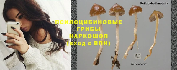 марихуана Бородино