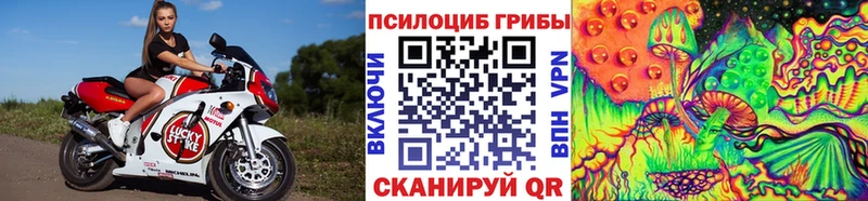 Галлюциногенные грибы GOLDEN TEACHER  цены наркотик  Малмыж 